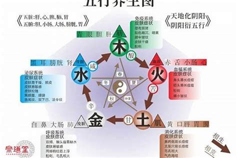 五行缺水火怎么办|八字缺水缺火缺木 (八字五行缺水火如何化解)